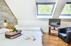 Logis Bagatelle - 51530 Dizy - photo 19