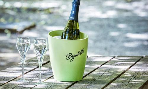 Logis Bagatelle - 51530 Dizy - photo 1